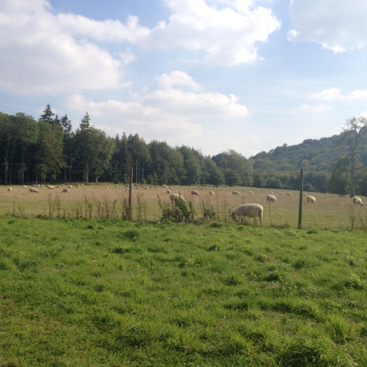 September 29 2014 upload 213